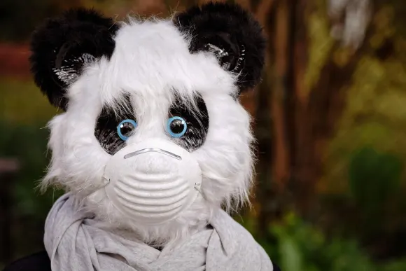 СпинШейк Казино Поддръжка